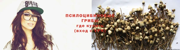 ALPHA PVP Баксан